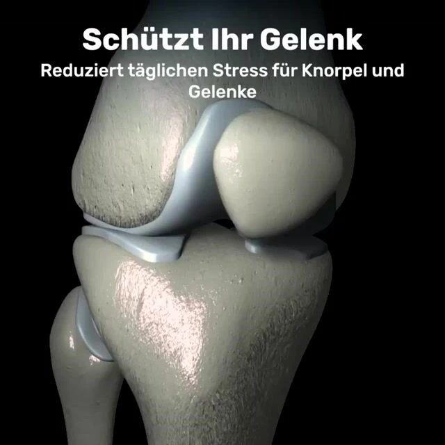 WellaBack image